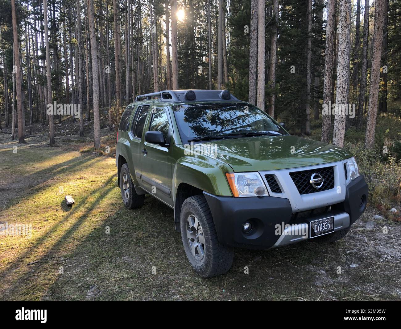 Camping im Wald in einem Nissan Xterra mit gefiltertem Sonnenlicht, das durch die Bäume kommt. Stockfoto