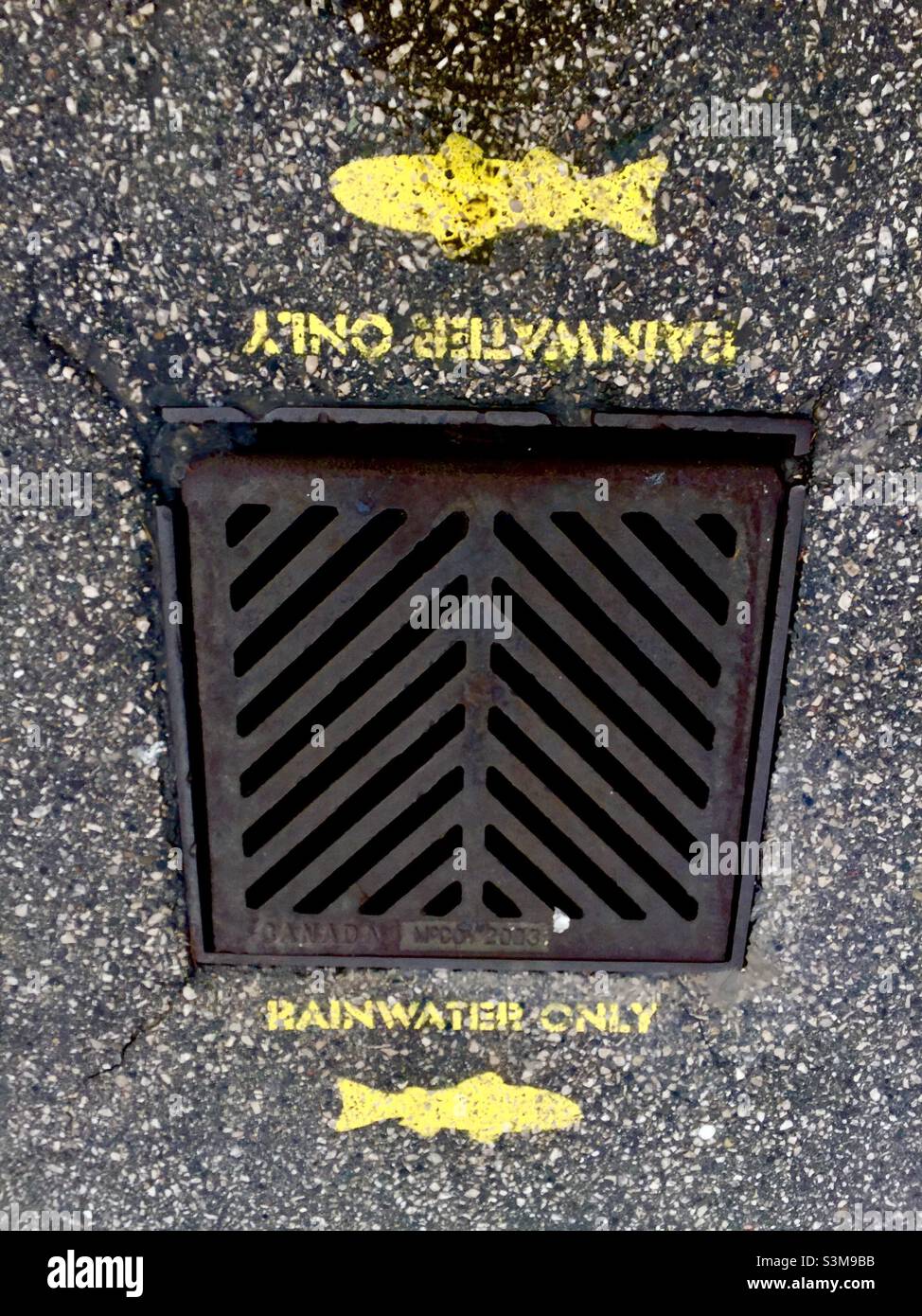 Wasserschutz: Sammeln von Regenwasser zur Wiederverwendung und zum Recycling auf einem großen öffentlichen Parkplatz in Ontario, Kanada. Gepflasterte Oberfläche. Stadtgebiet. - Smartphone-aufgenommenes Stockfoto