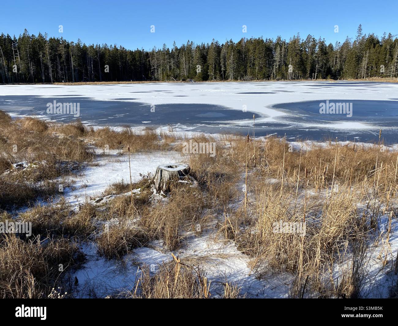Zufrieren Fotos und Bildmaterial in hoher Auflösung Alamy