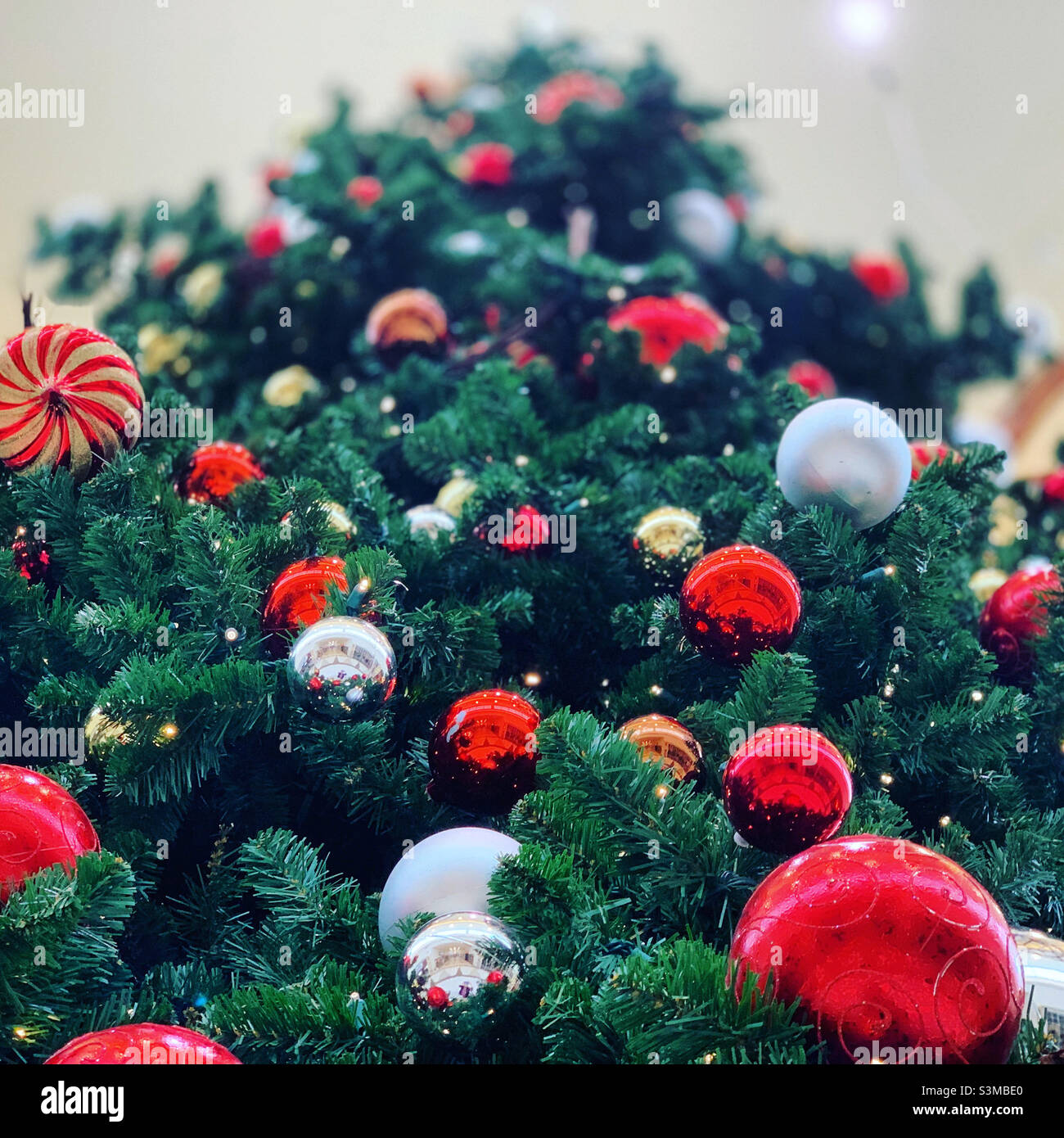 Weihnachtsbaum - Smartphone-aufgenommenes Stockfoto