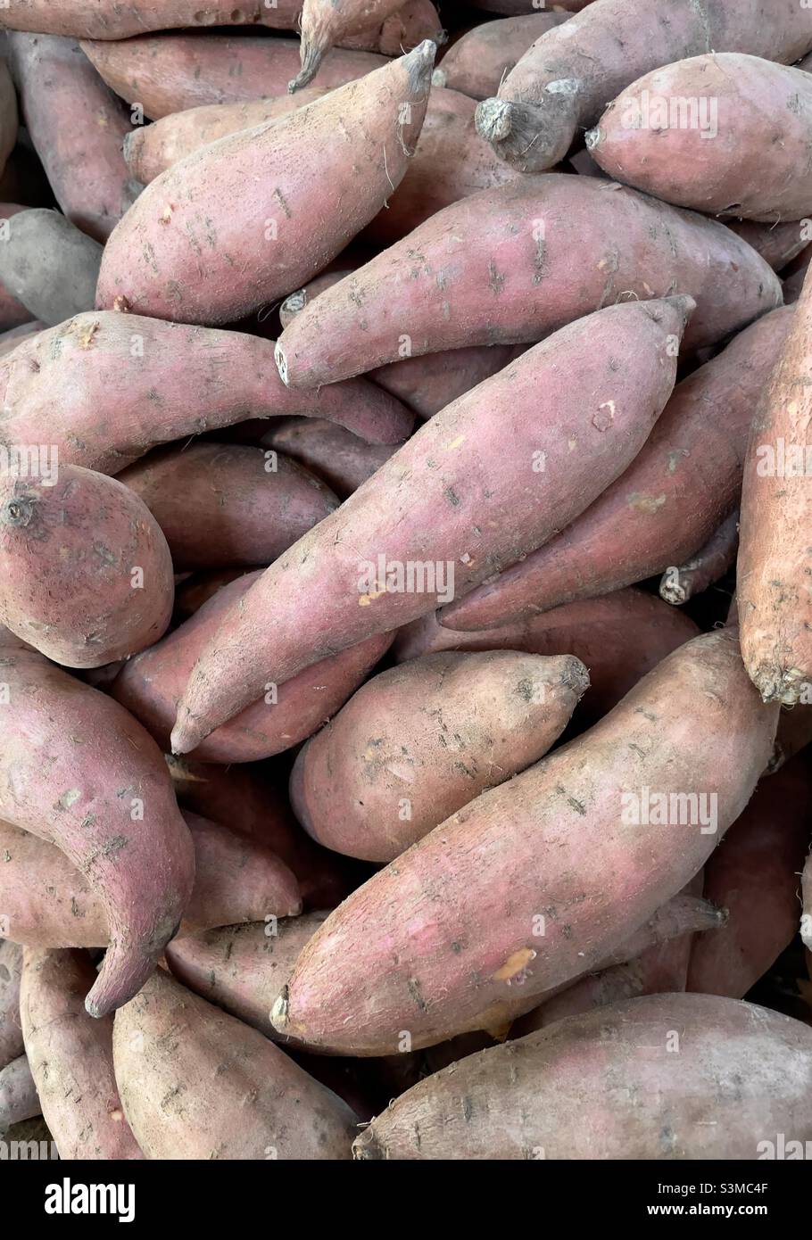 Süßkartoffeln zum Verkauf im lokalen Hofladen Stockfoto