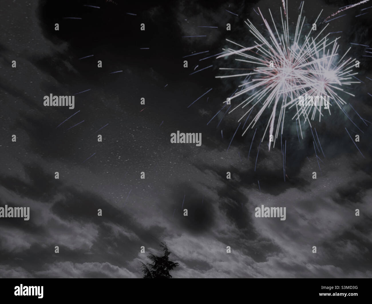 Das Feuerwerk auf dem großen und farblosen Himmel, der sich in der rechten oberen Ecke des Fotos befindet. Die Spitze der Kiefer im unteren mittleren Teil des Fotos in einer Entfernung mit den Wolken in der windigen Nacht. Stockfoto