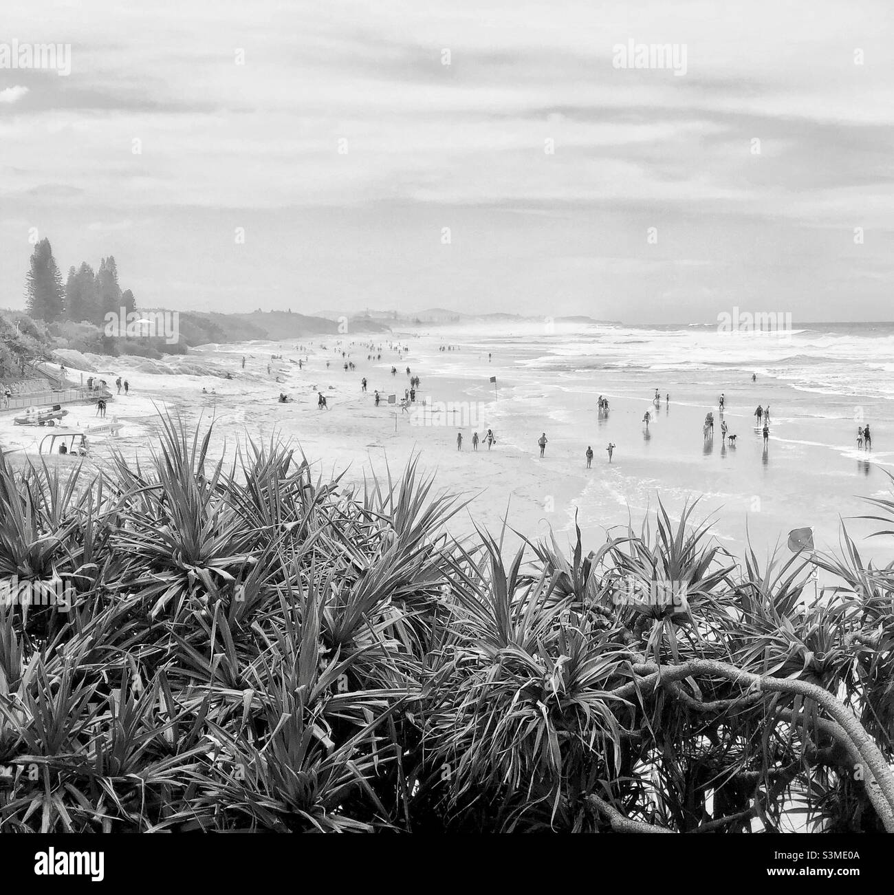 Menschen am Strand Black & White Coolum Beach Queensland Australien Stockfoto