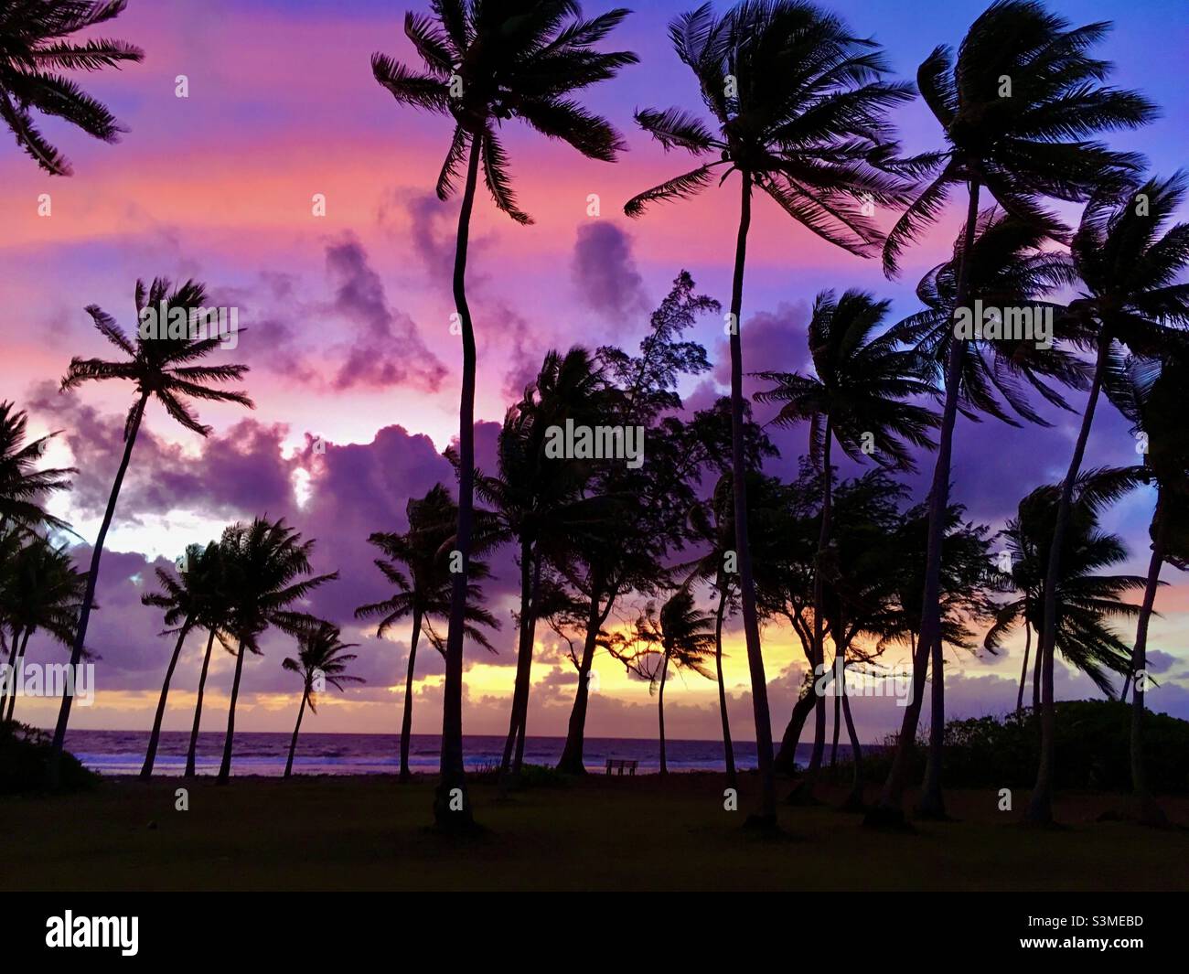 Tropischer Sonnenaufgang - Kwajalein, Marshallinseln Stockfoto