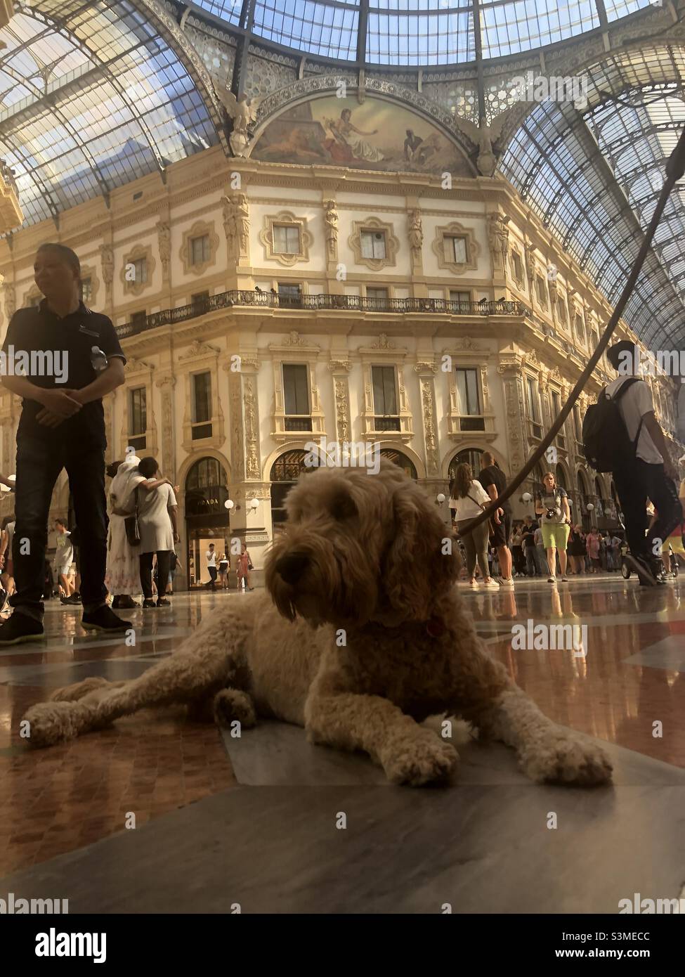 Buzz Reynolds Milan Gallerie Vittorio Emanuele Italien Stockfoto