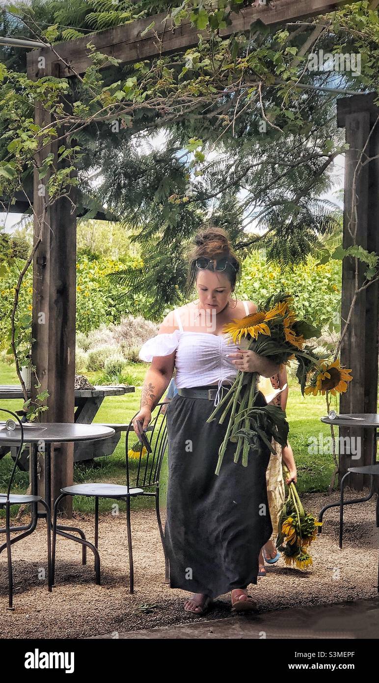 Frau mit Sonnenblumen Land Stockfoto