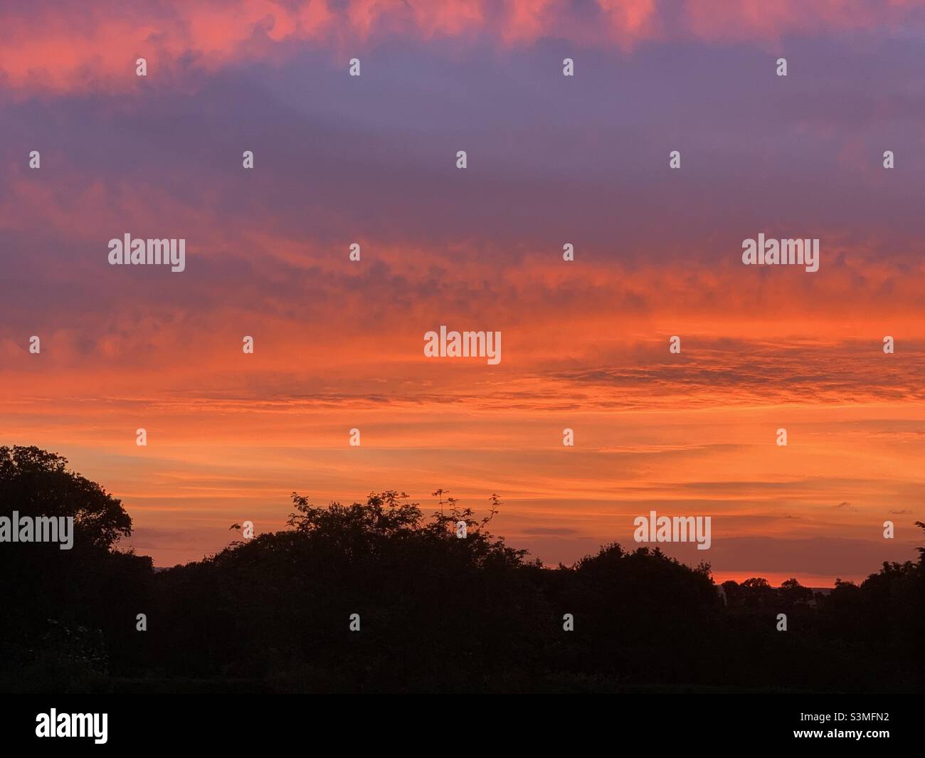 Sonnenuntergang im New Forest. - Smartphone-aufgenommenes Stockfoto