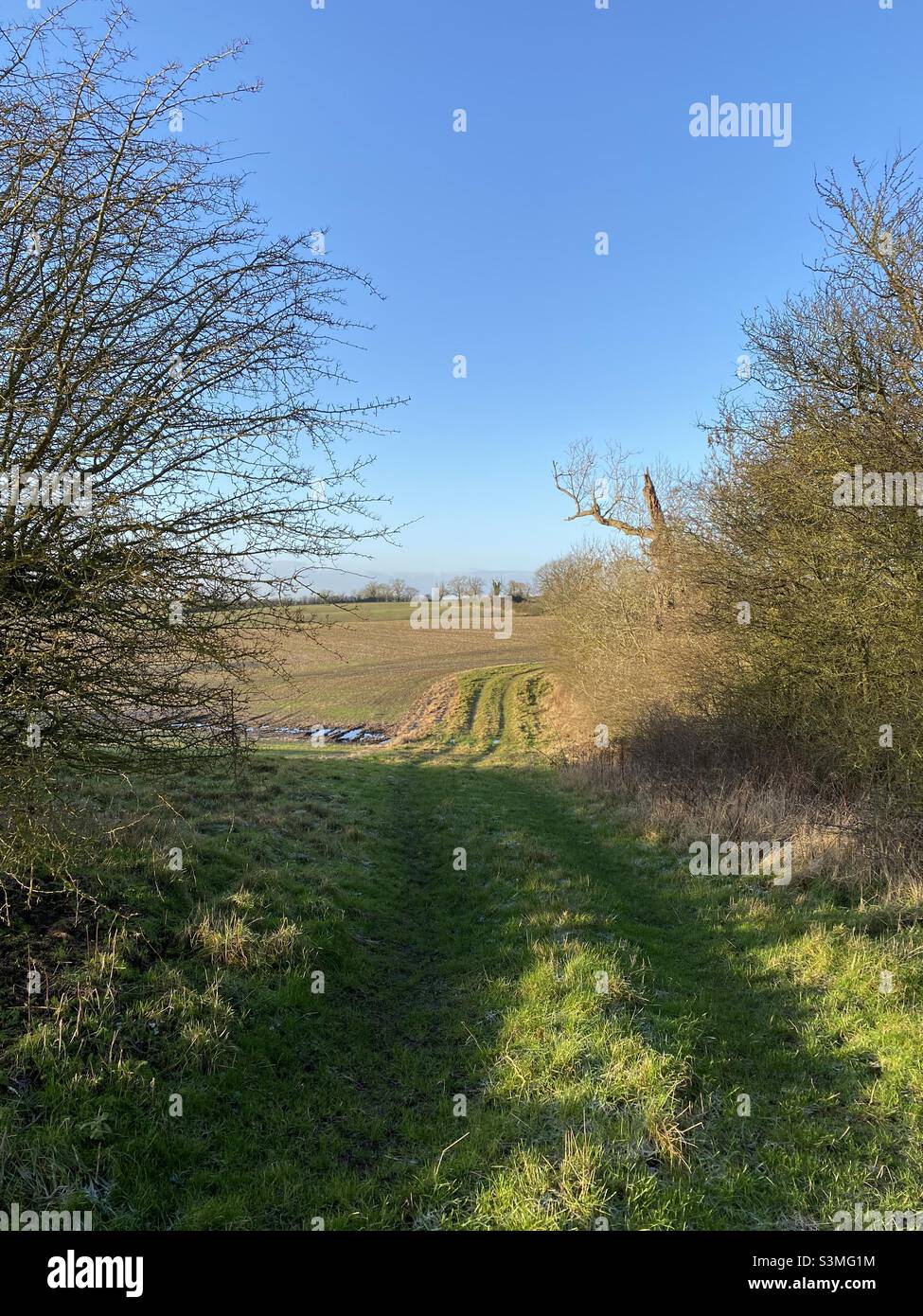 Blick über einen Feldweg durch die Landschaft an einem hellen Wintertag Stockfoto
