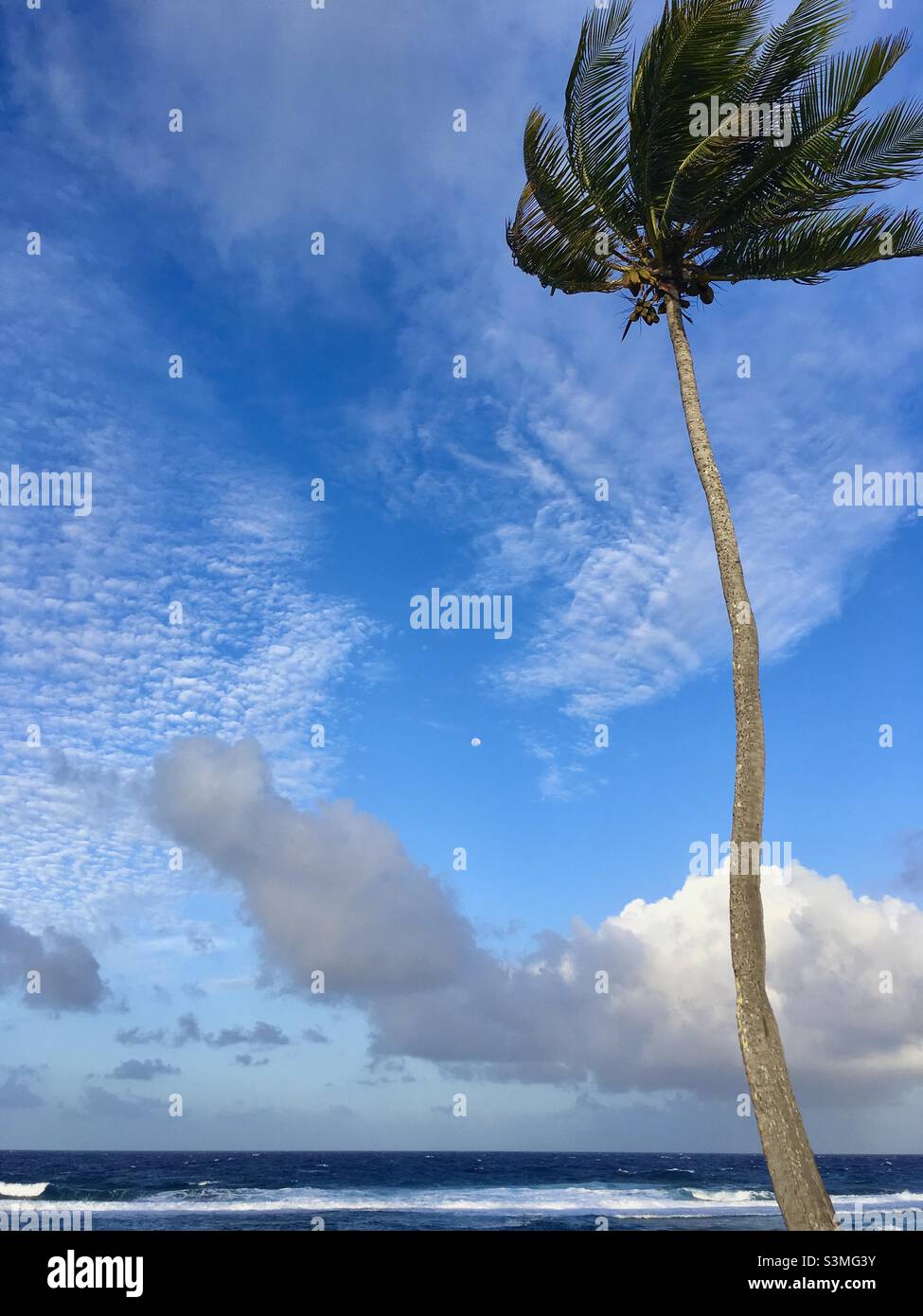 Ein windiger Tag in Kwajalein. Stockfoto