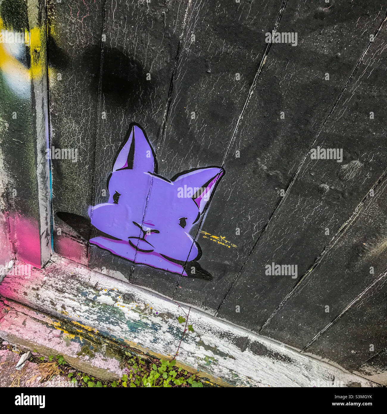 Brighton Streetart - Smartphone-aufgenommenes Stockfoto
