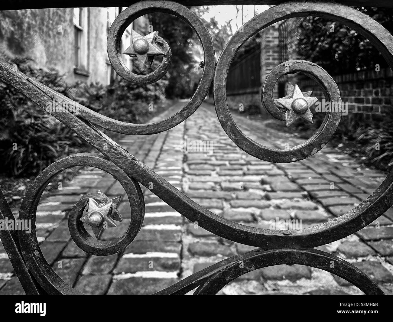 Charleston schmiedeeisernes Tor mit sternförmigen Details, Charleston, South Carolina. In Schwarzweiß konvertiert. Stockfoto
