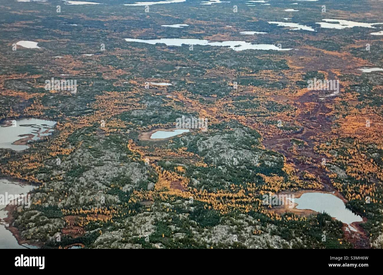 Kanadische Arktis-Tundra, Flugfotografie, Fotografie, Tundra, Nunavut, Kanada, Herbst, Oldies, September, Tamaraden, Wildnis, Wald, Seen, Sträucher Stockfoto