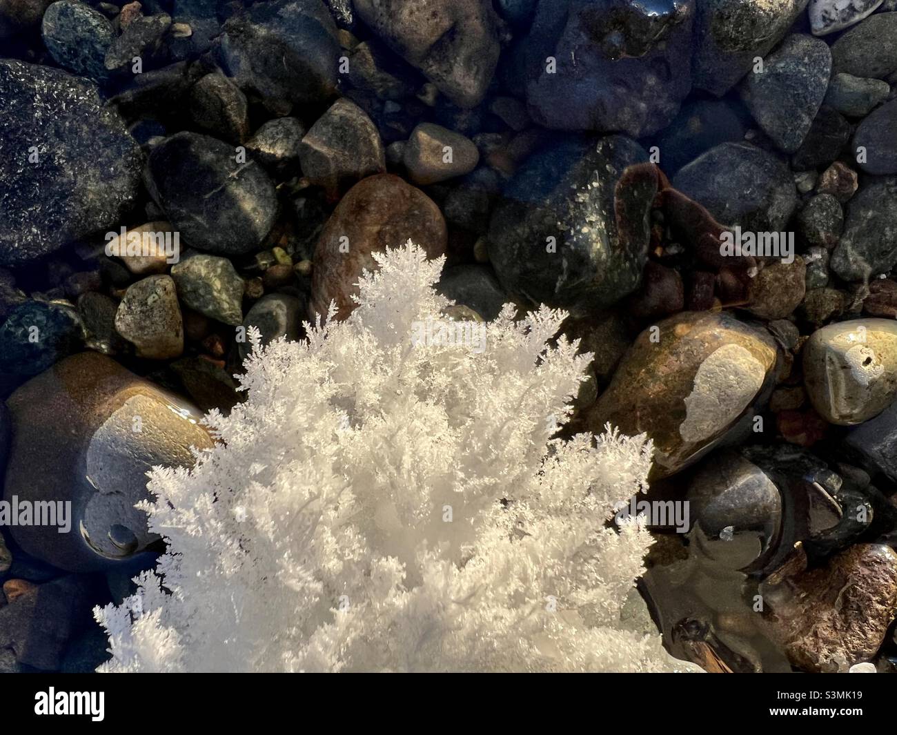 Die kreative Eleganz der Natur: Sonnenverwöhnte Eisskulpturen, Eisblumen und Reifrost, kombiniert mit dem klaren Wasser und den farbigen Felsen des Yukon River. Nahaufnahme des Winterwunderlands. - Smartphone-aufgenommenes Stockfoto