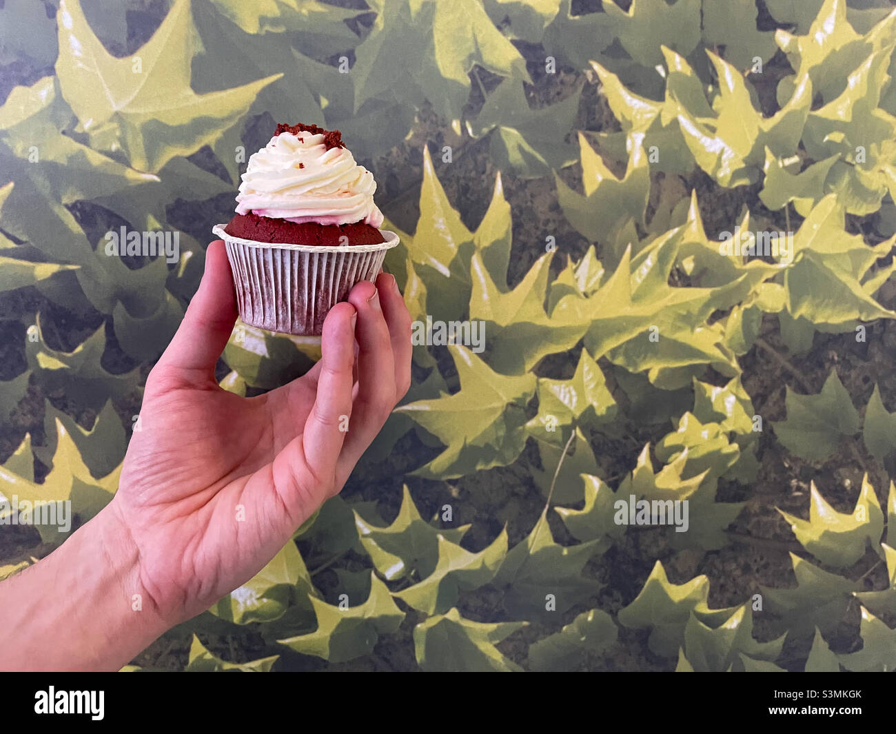 Hand hält roten Samt Cupcake auf grünem Hintergrund mit Blättern Motiv. - Smartphone-aufgenommenes Stockfoto
