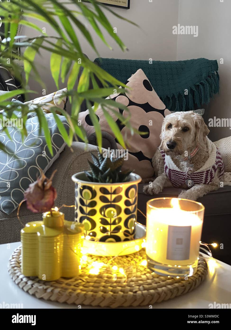Buzz Reynolds Chilling Candle Lounge Interieurs Orla Kiely Stockfoto
