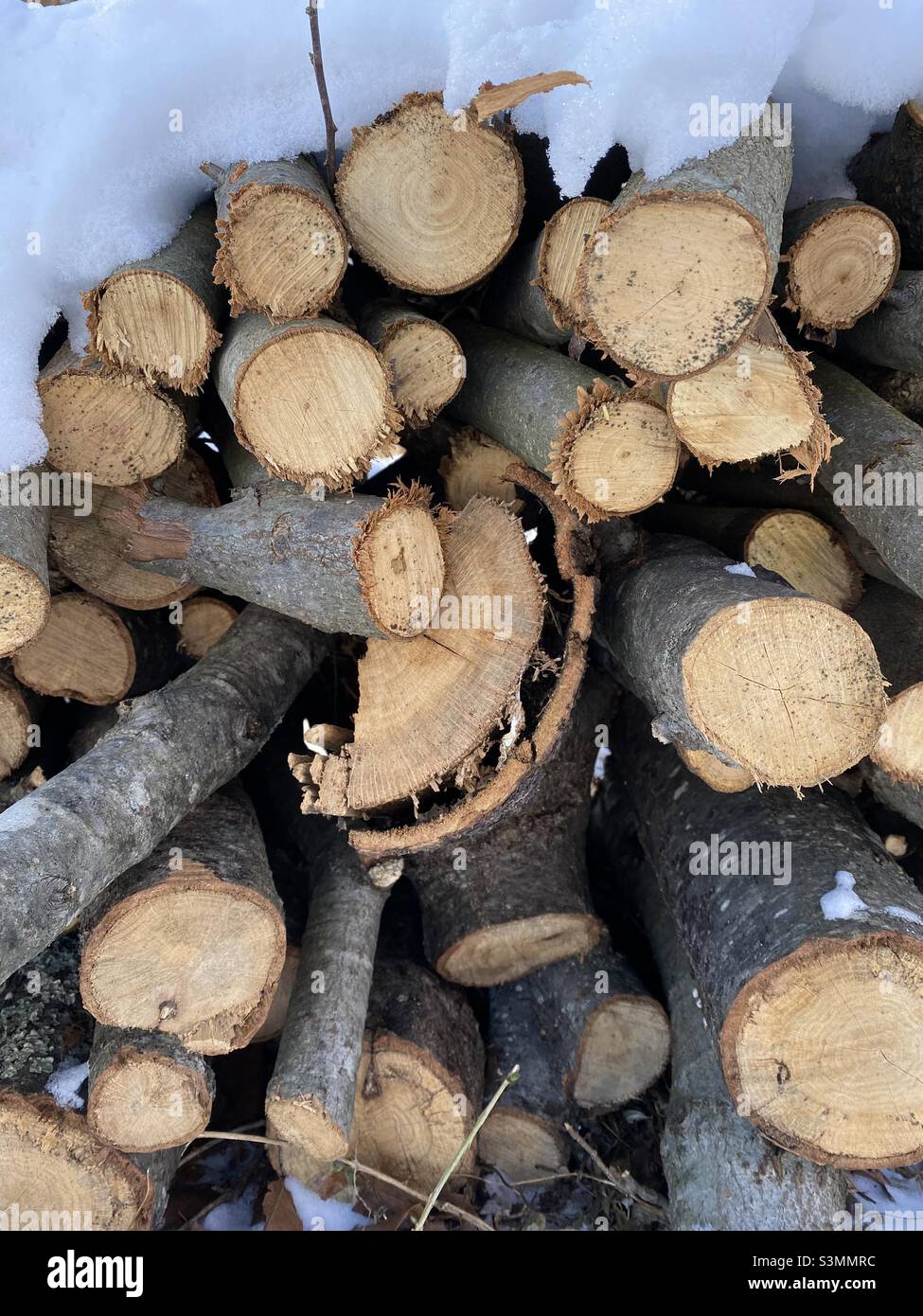 Ein Holzstapel mit einer Schneeschicht auf der Oberseite. - Smartphone-aufgenommenes Stockfoto