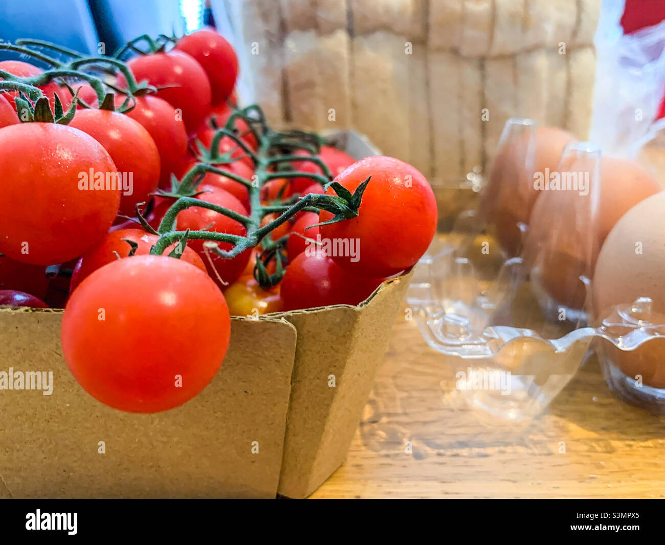 Rote Tomaten am Rebstock Stockfoto