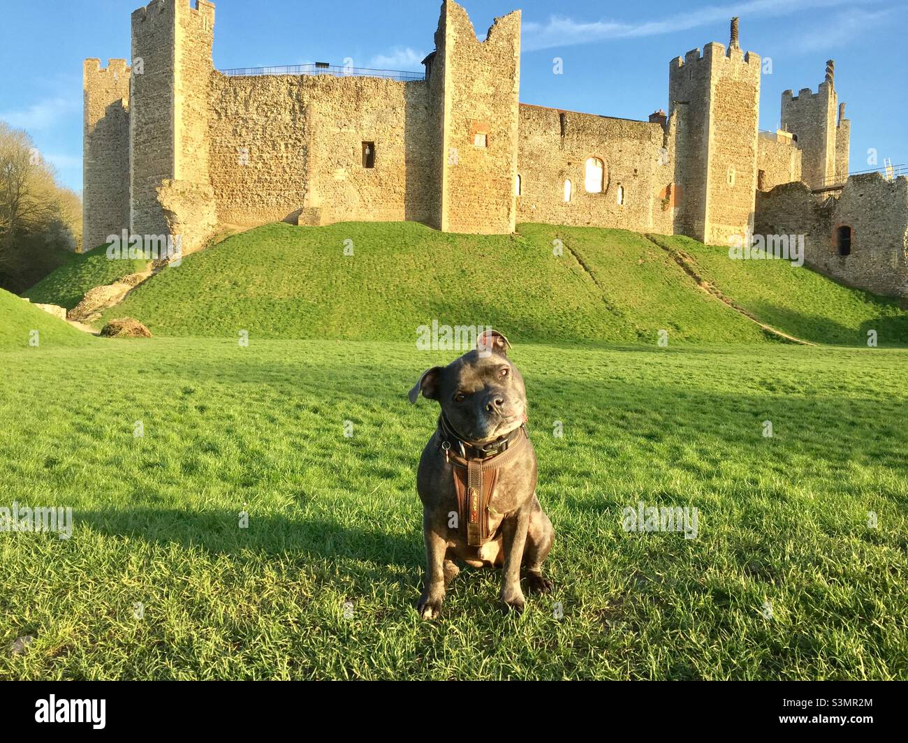 Framlingham castle Stockfoto