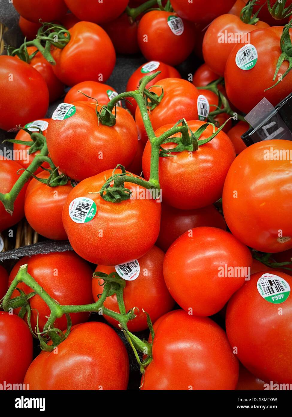 Rebe gereifte Tomaten zum Verkauf in der Erzeugnis-Gang eines New York City Supermarkt, 2022, USA Stockfoto