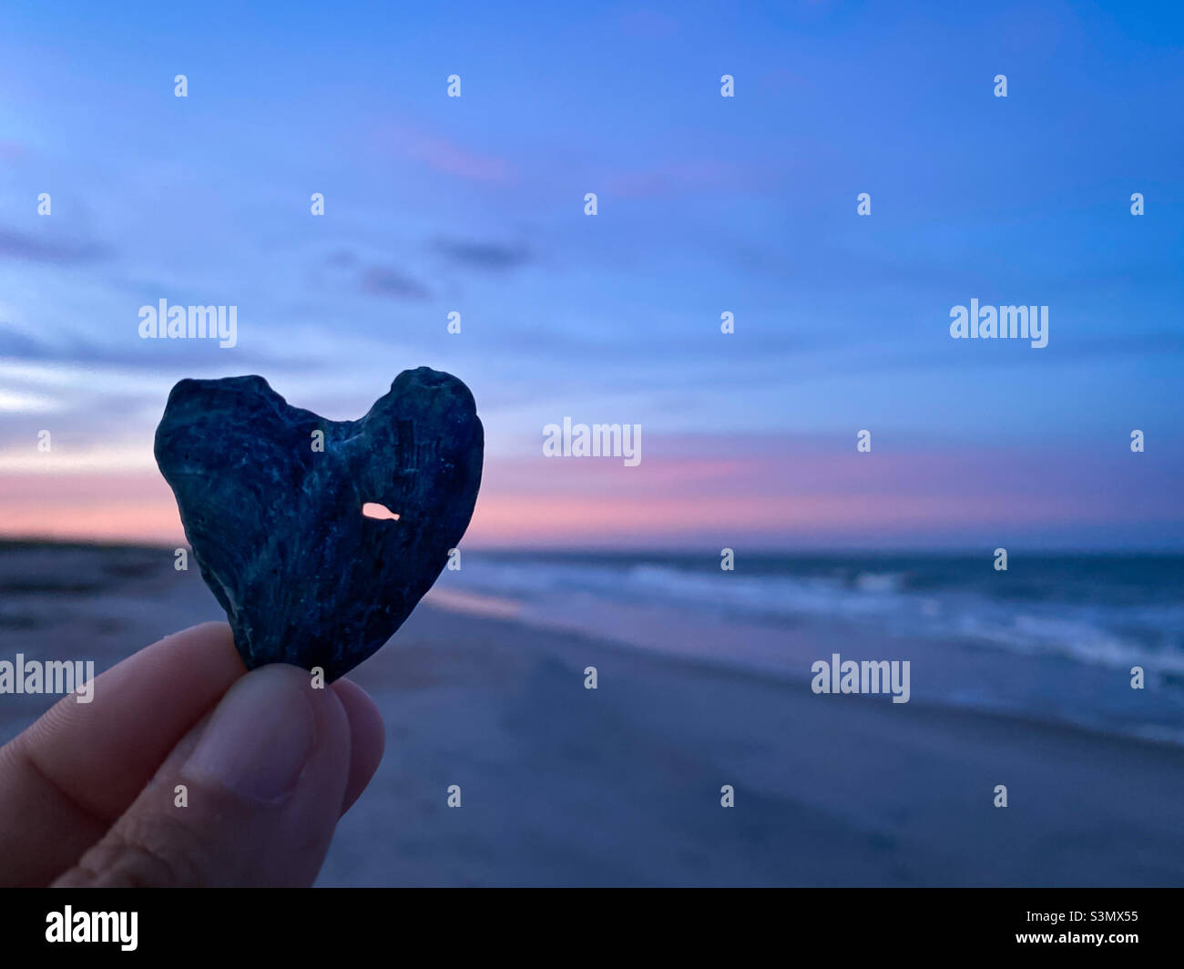 Herzförmige Muschel am Strand auf Amelia Island, Florida, vor dem wunderschönen Meeresgrund. Stockfoto