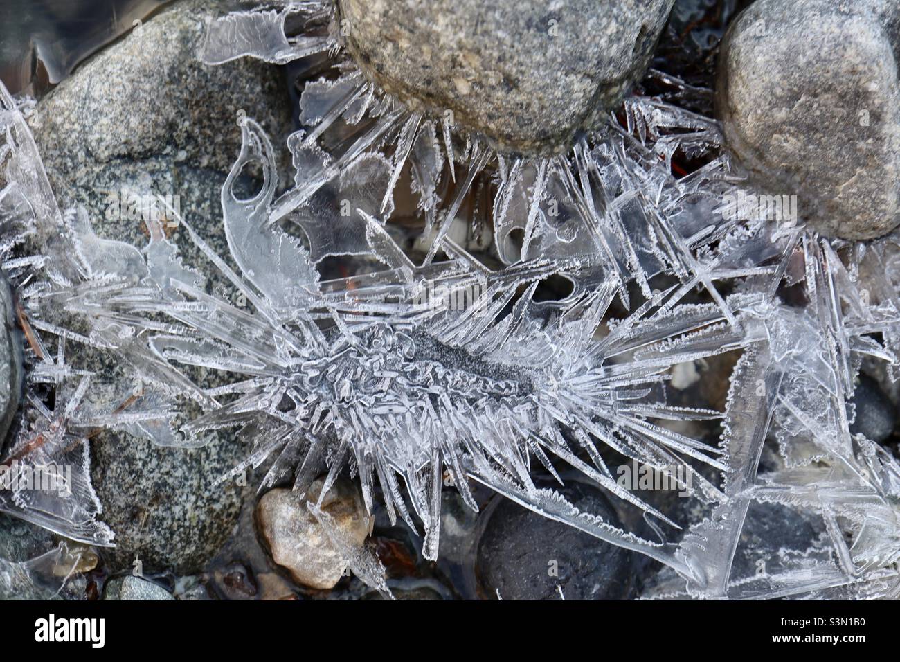 Flussfelsen, umgeben von sternartigen Eisformationen in einem kleinen Bach - Smartphone-aufgenommenes Stockfoto