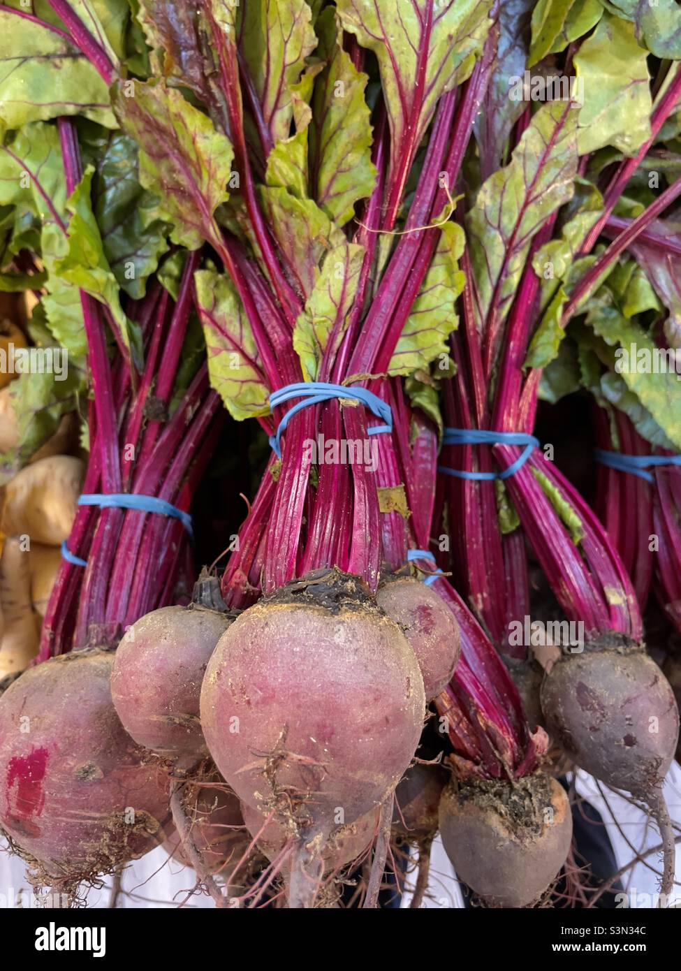 Rote Beete mit ihren grünen Spitzen, zum Verkauf in einem Worcestershire-Farmladen Stockfoto