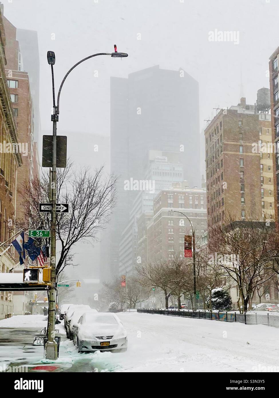 Leere Park Avenue während eines Schneesturms Stockfoto