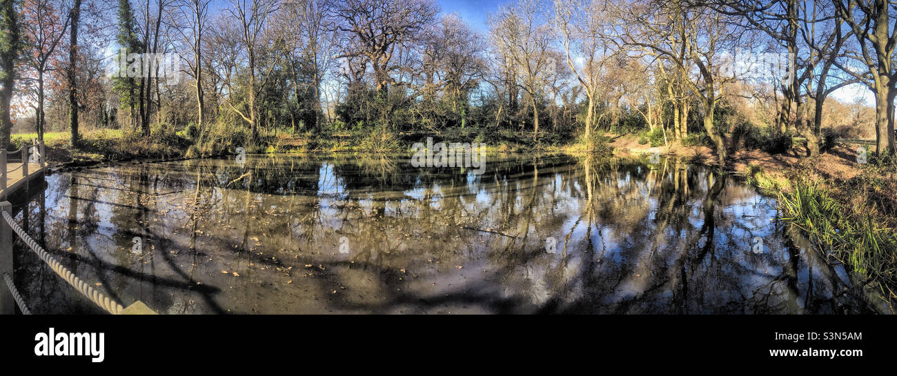 Panoramablick auf den Stumps Hill ‘Ancient Pond’, der vom Friends of Beckenham Place Park restauriert wurde Stockfoto