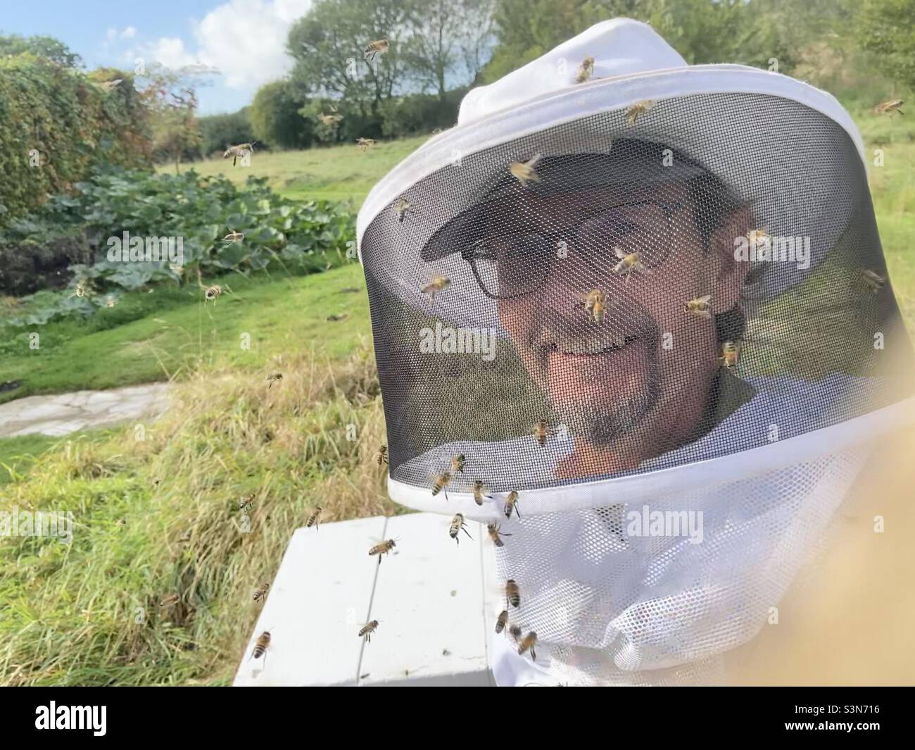 Bienenhalter in einem Bienenanzug lächelnd und umgeben von Honigbienen Stockfoto