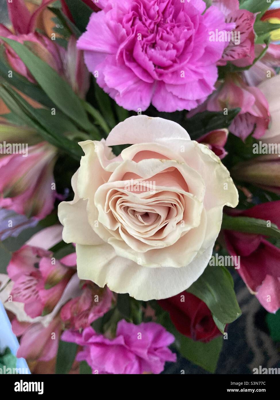 Geburtstag Blumen Stockfoto