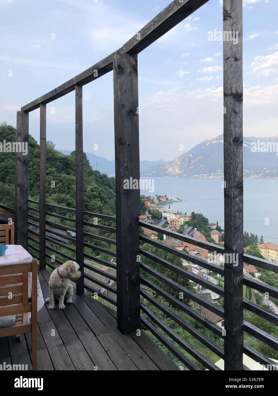 Buzz Reynolds Blick über den Comer See vom Balkon Bellano Italy Dog Stockfoto
