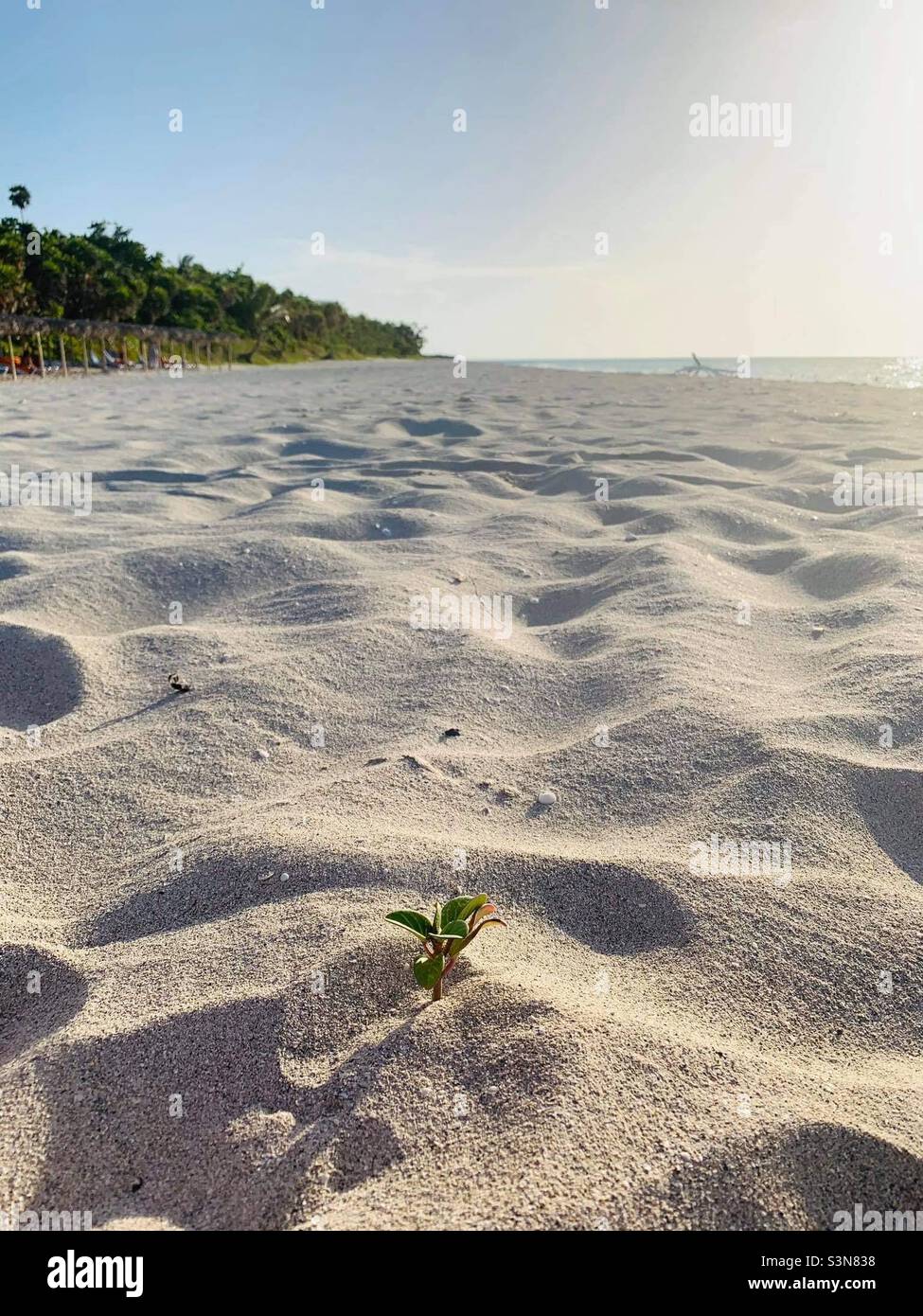 Weißer Sand am gut erhaltenen Strand. Varadero, Matanzas, Kuba - Smartphone-aufgenommenes Stockfoto