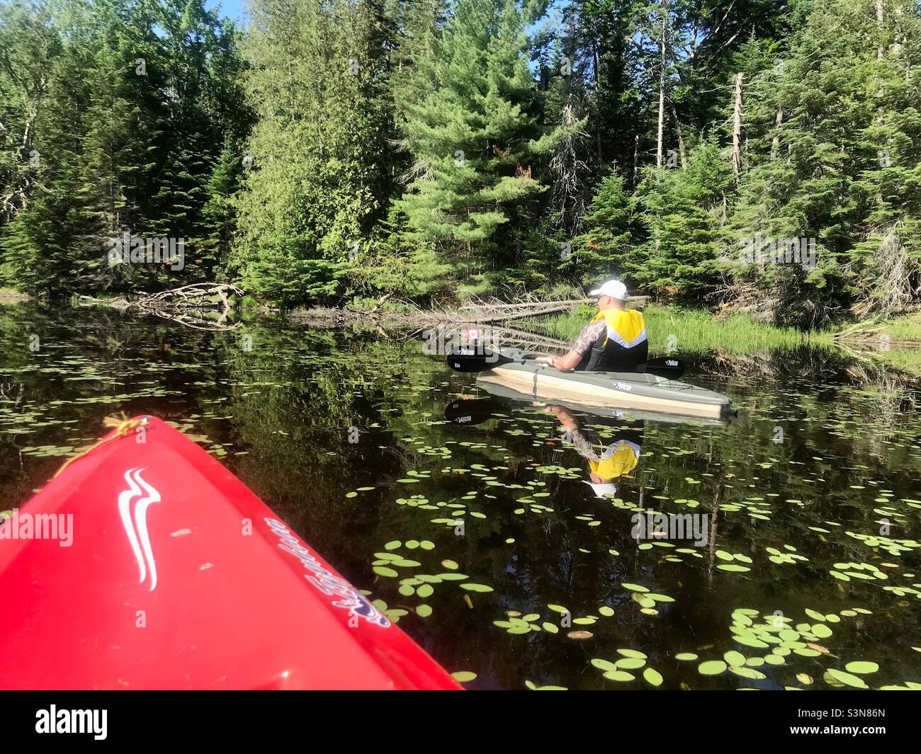 Canada Day Kajak am frühen Morgen auf dem Munroe Lake. Mont-Tremblant-Nationalpark. - Smartphone-aufgenommenes Stockfoto