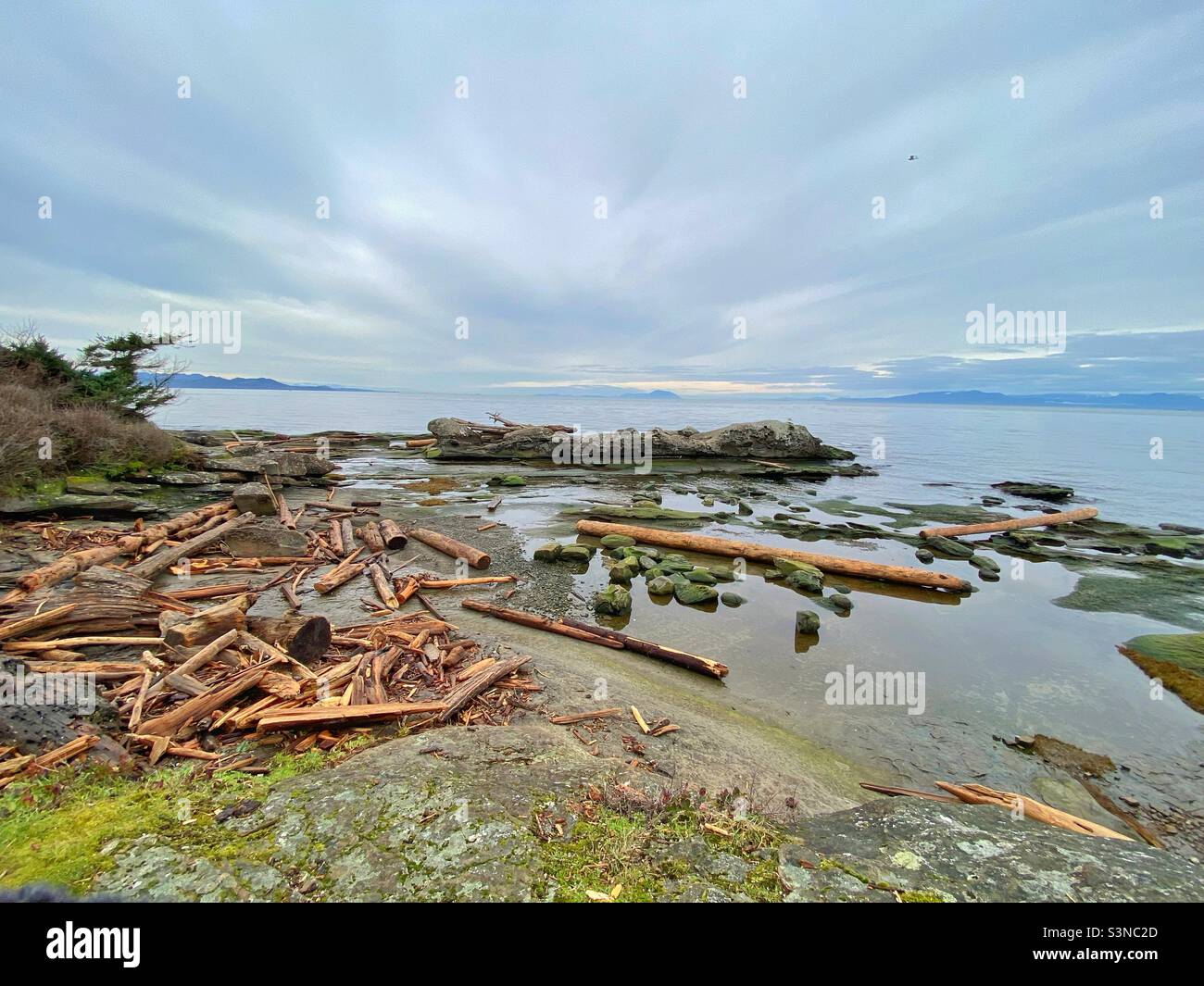 An einem bewölkten Wintertag ist ein Strand auf Gabriola Island, British Columbia, nach mehreren sehr hohen Gezeiten voller Baumstämme und holziger Trümmer. Stockfoto