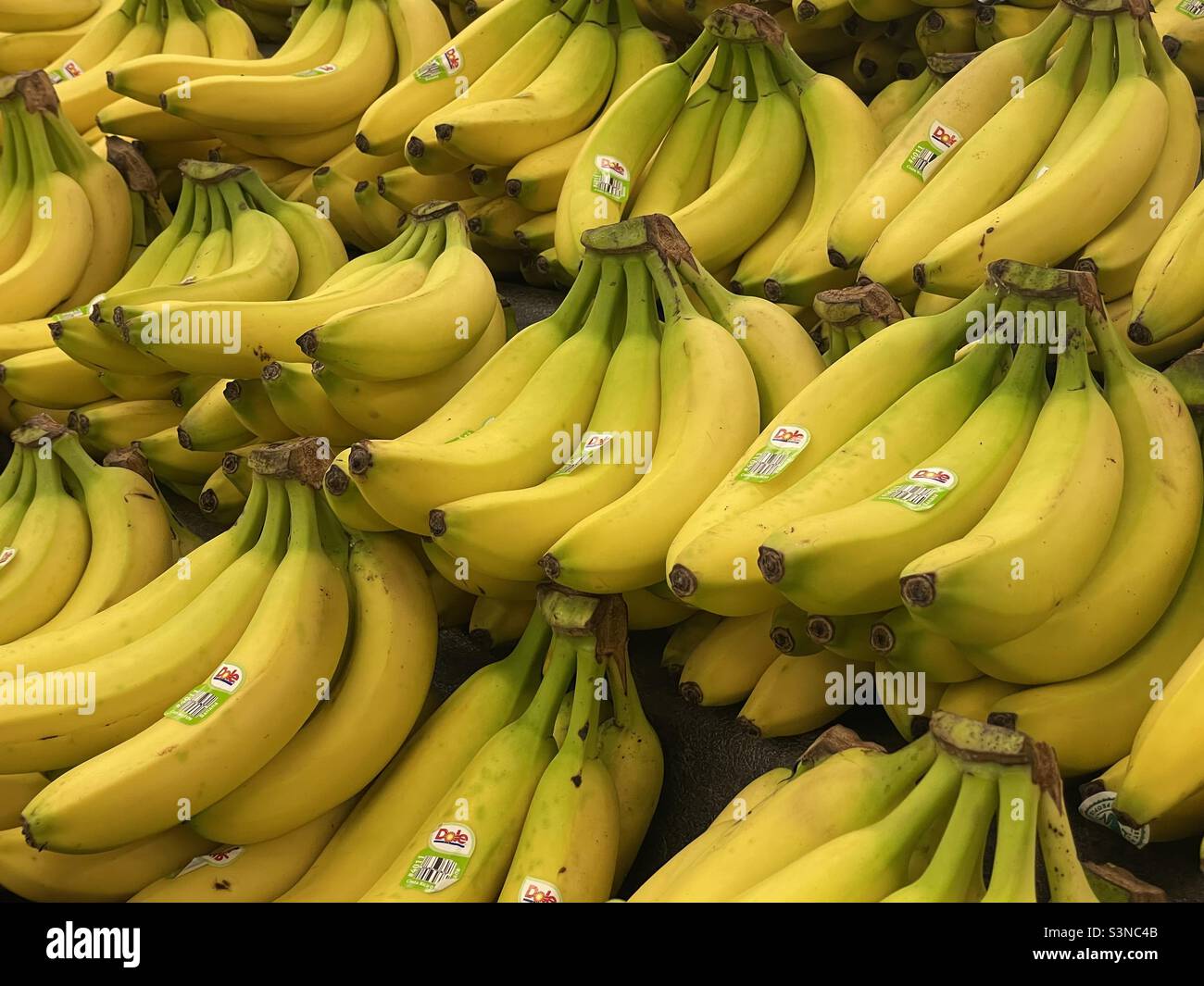 Bananen Stockfoto