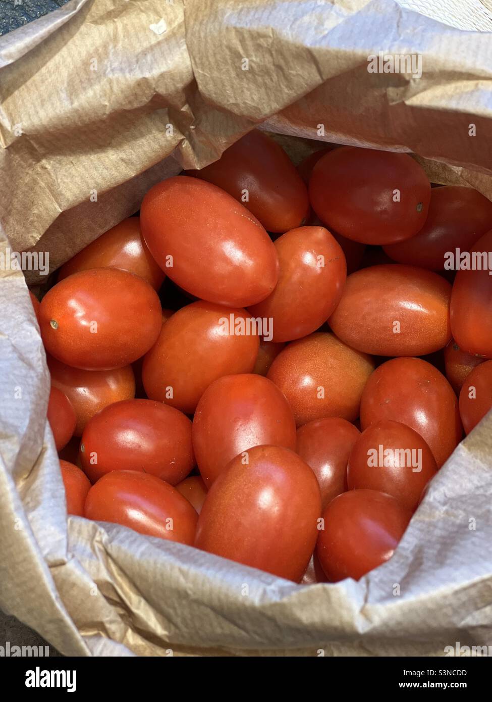 Bio-Tomaten in einem Papierbeutel Stockfoto