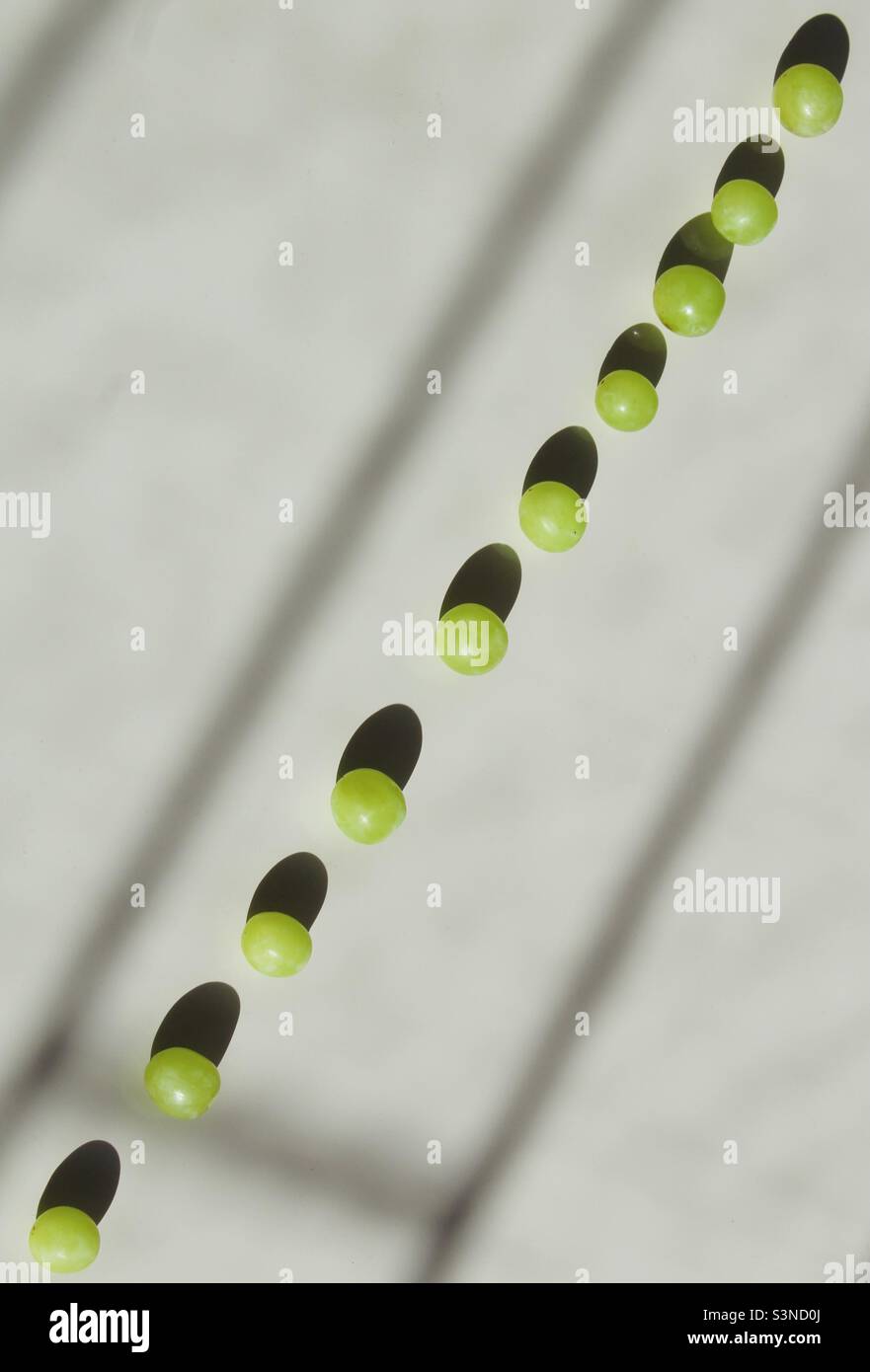 Grüne Trauben. Parallele Linien - Smartphone-aufgenommenes Stockfoto