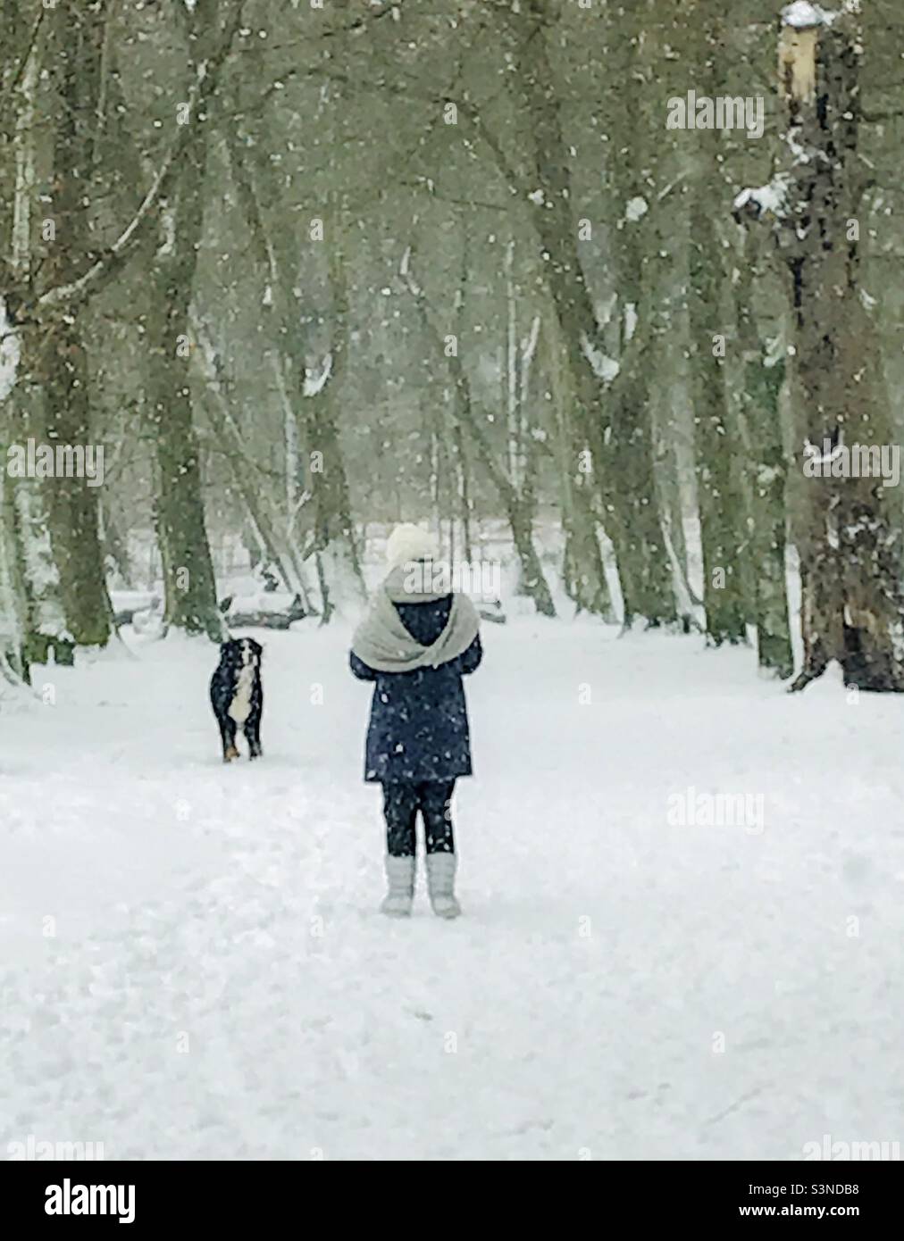 Frau, die mit ihrem Hund auf dem Winterschnee läuft und spielt - Smartphone-aufgenommenes Stockfoto