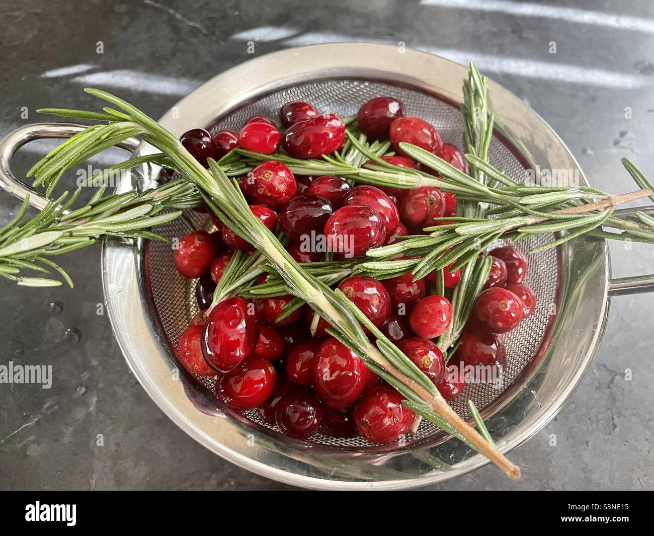 Frische Preiselbeeren und Rosmarin in einem Sieb Stockfoto