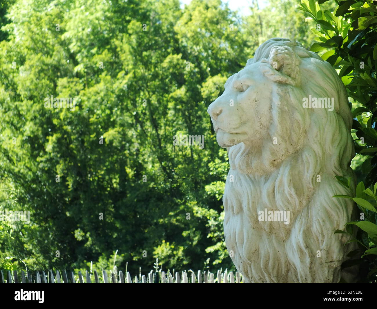 Ein hohes Profil einer Löwenstatue unter der Sonne Stockfoto