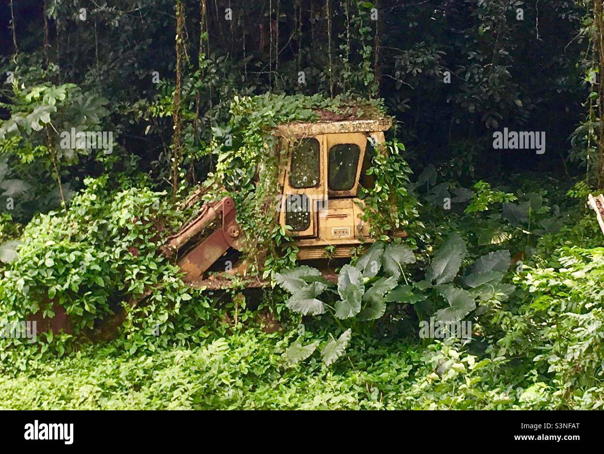 Große Planierraupe in einer überwucherten Landschaft Stockfoto