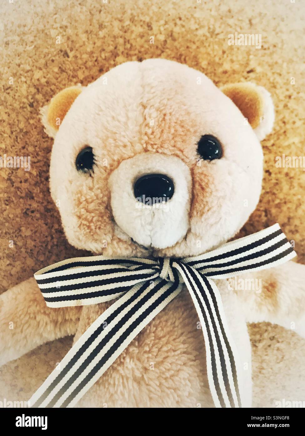 Super Teddy, mein Lieblingsbär. Stockfoto