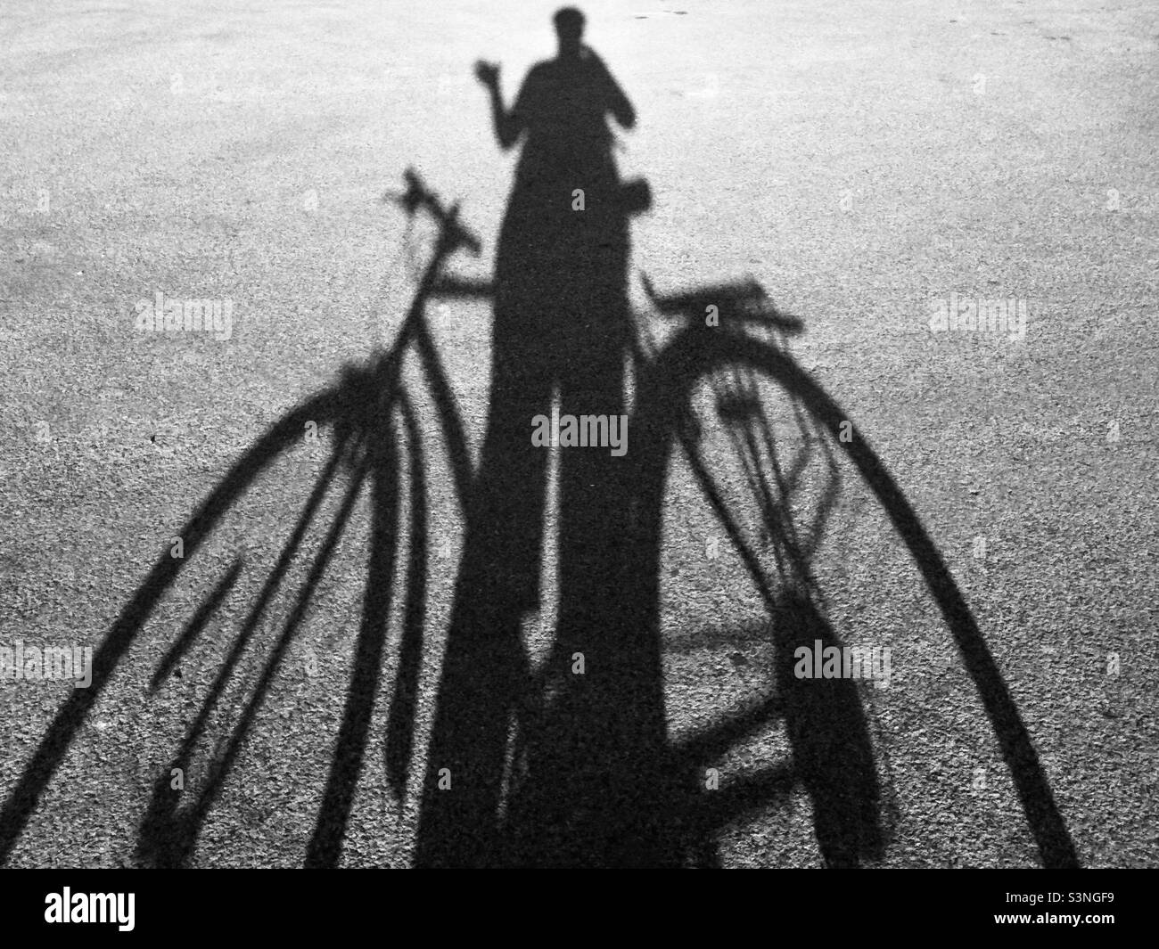 Schatten des Radfahrers und Radfahrers am Spätsommerabend Stockfoto