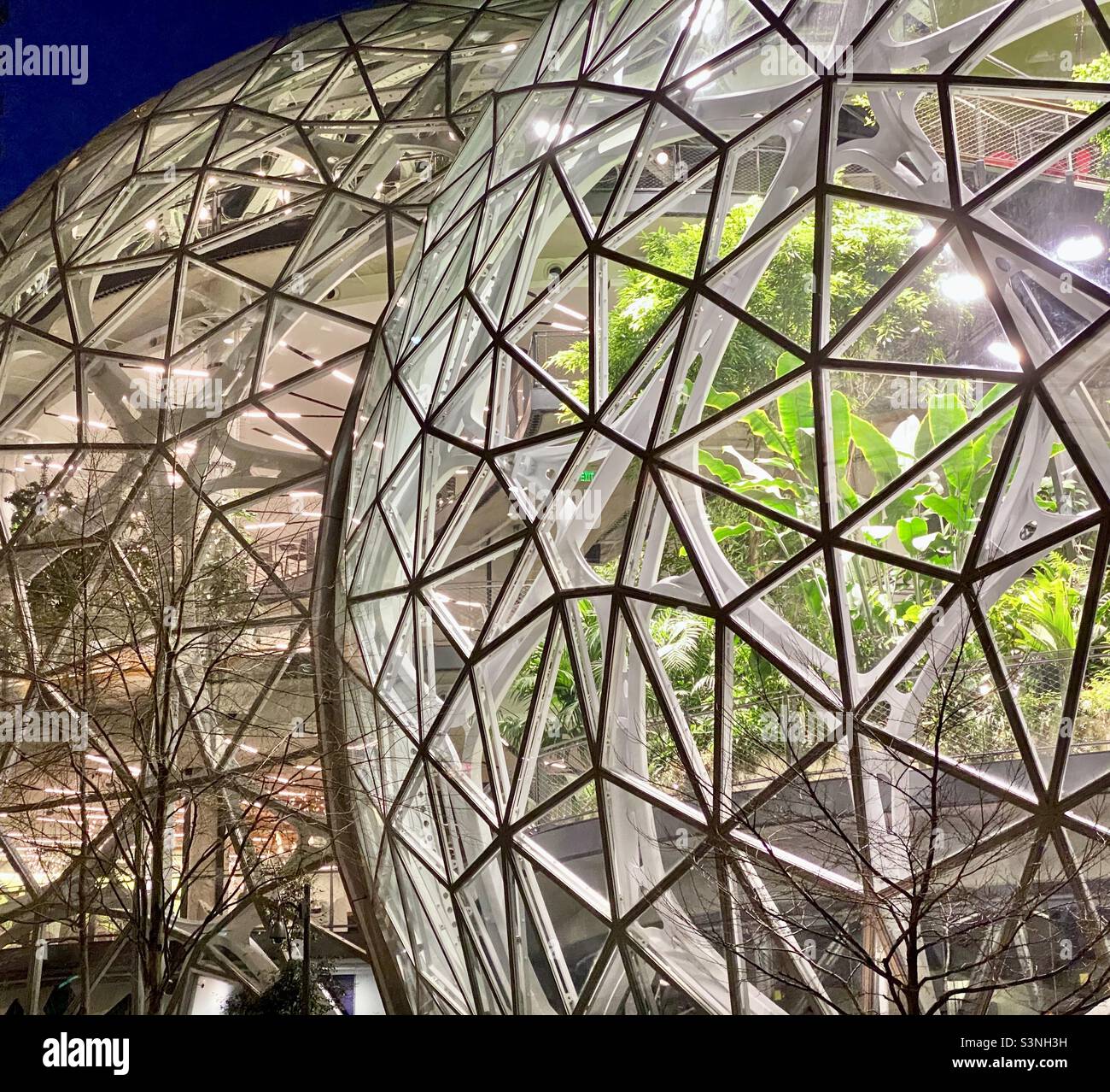 Die Sphären im Amazonashauptsitz in seattle bei Nacht - Smartphone-aufgenommenes Stockfoto