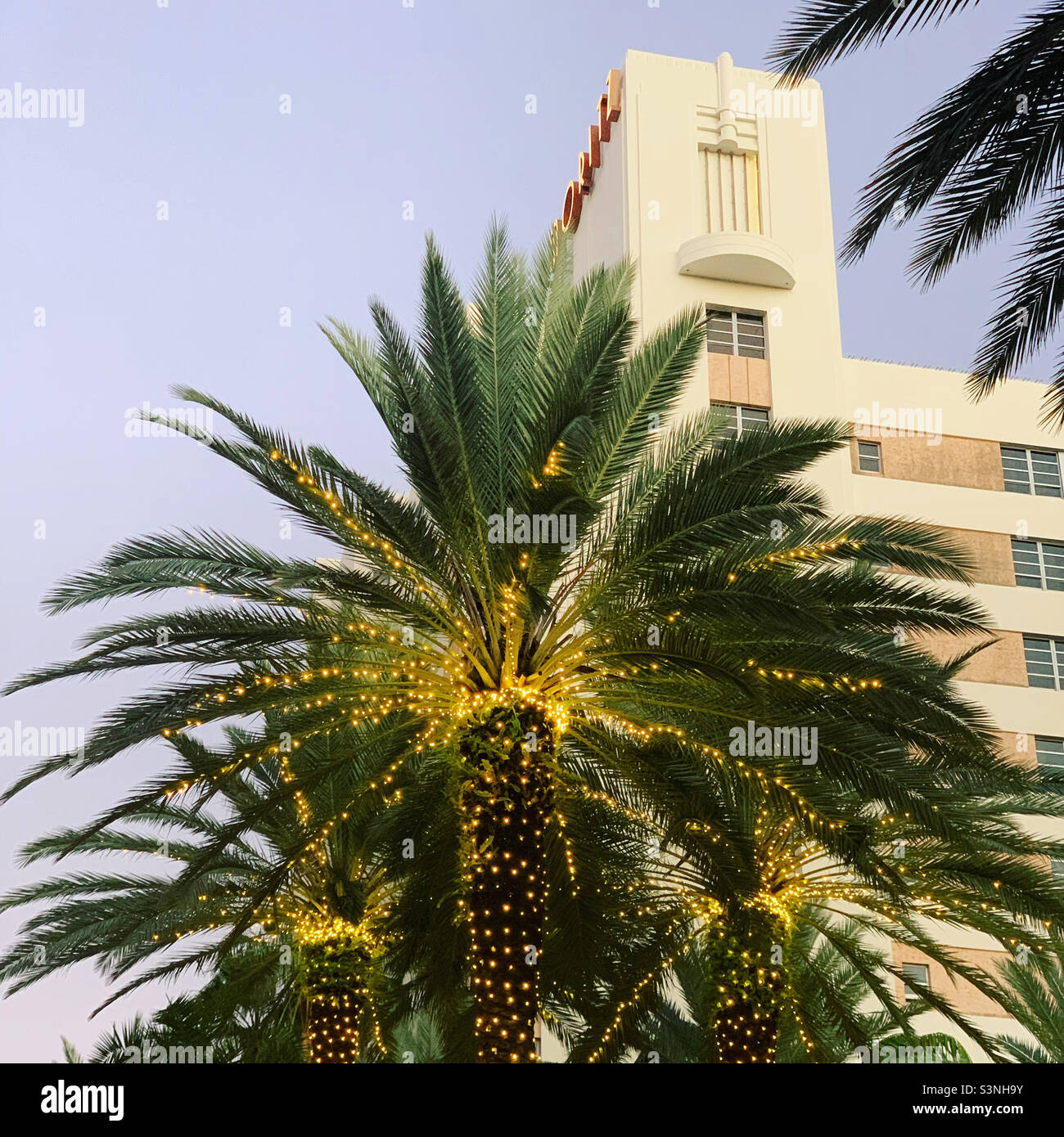 Januar 2022, Palmen vor dem Loews Miami Beach Hotel, South Beach, Miami Beach, Florida, USA, Nordamerika - Smartphone-aufgenommenes Stockfoto