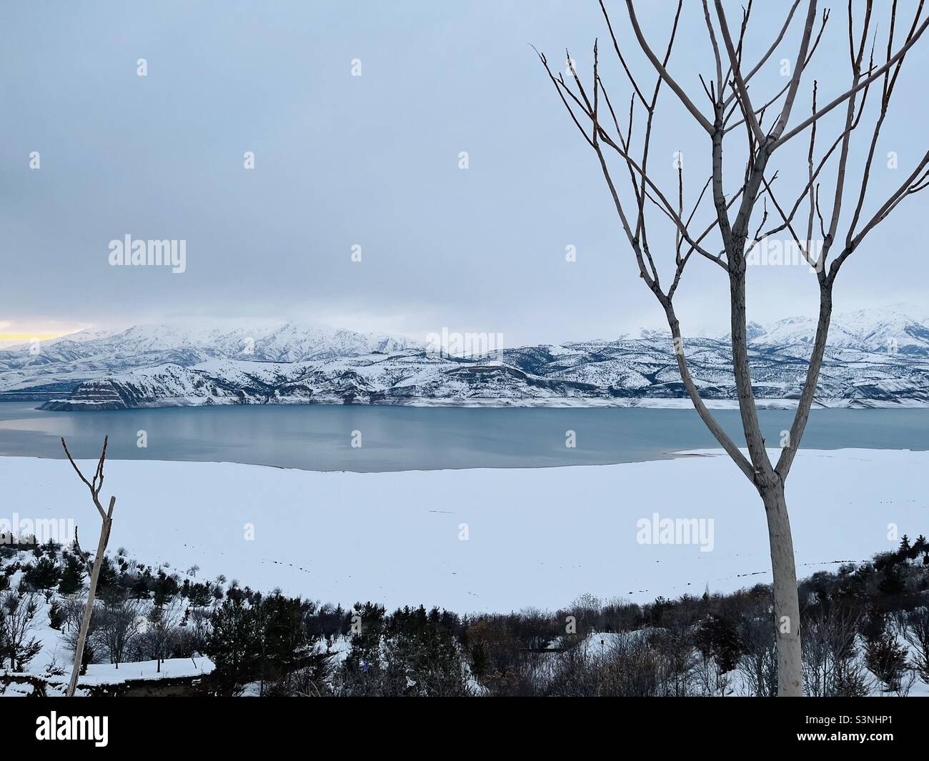 Schöne Natur im Winter Stockfoto
