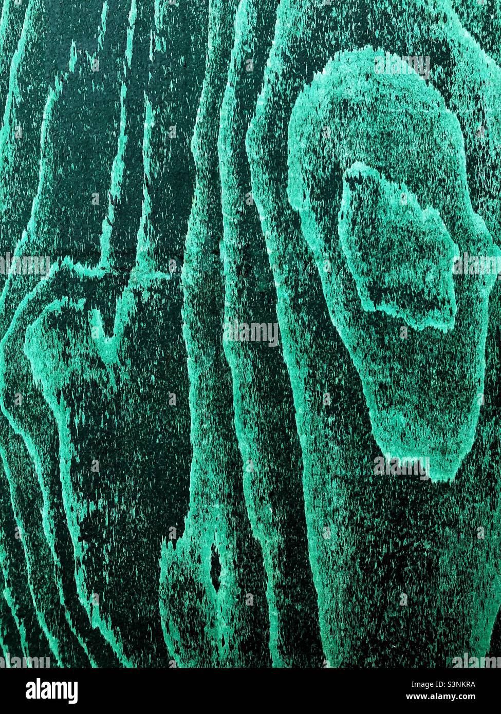 Vollformat-Textur Hintergrund aus grünem Holz mit Maserung und Knoten und Kopierraum - Smartphone-aufgenommenes Stockfoto
