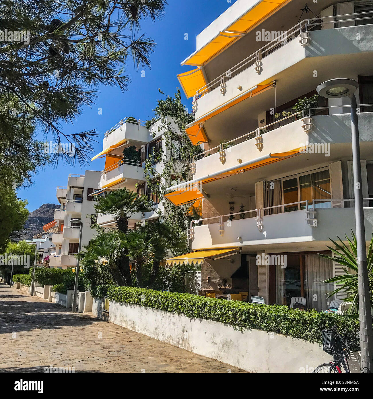 Apartments auf dem Pinienwald in Puerto Pollenca, Mallorca Stockfoto
