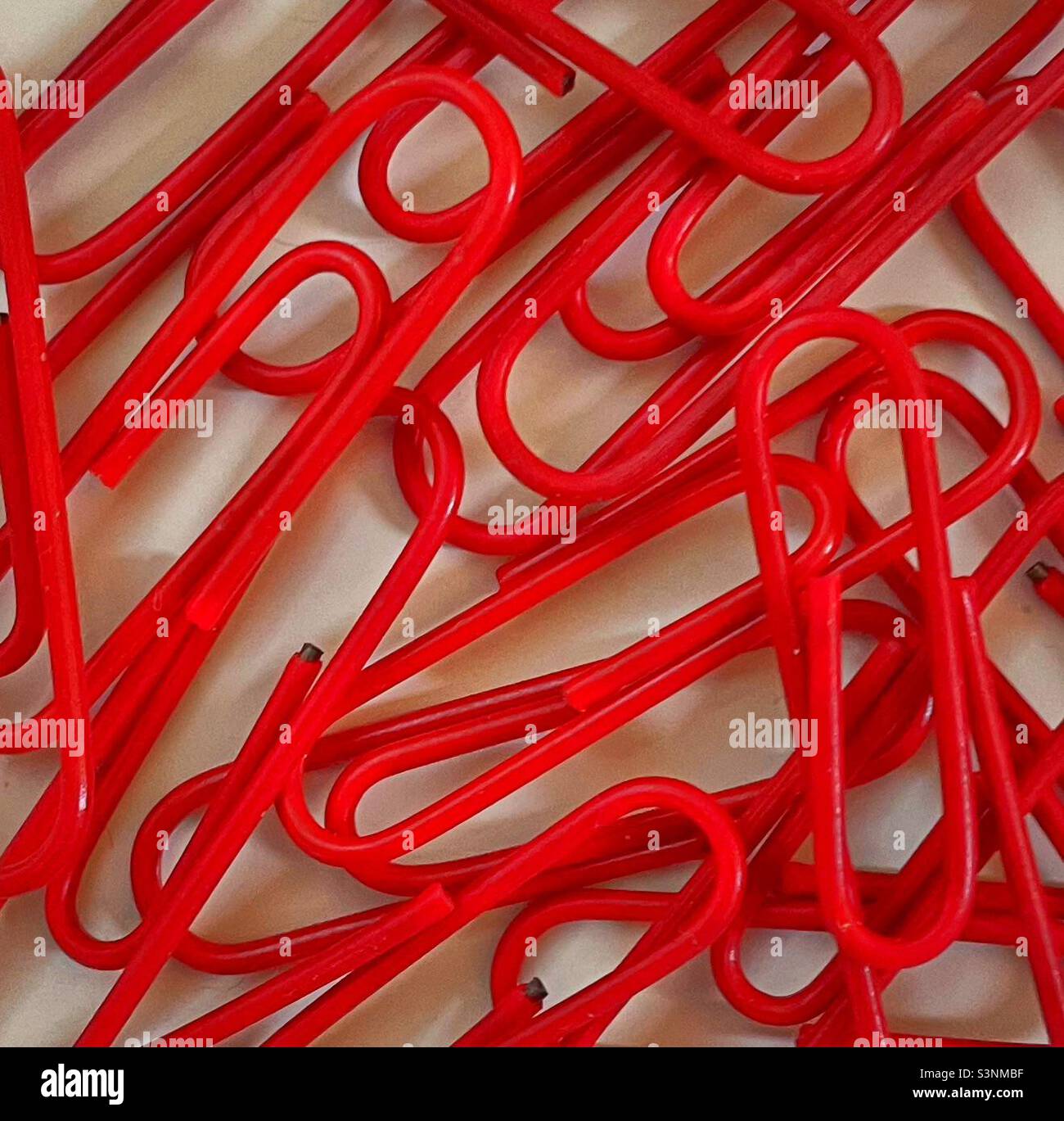 Rote Büroklammern Stockfoto