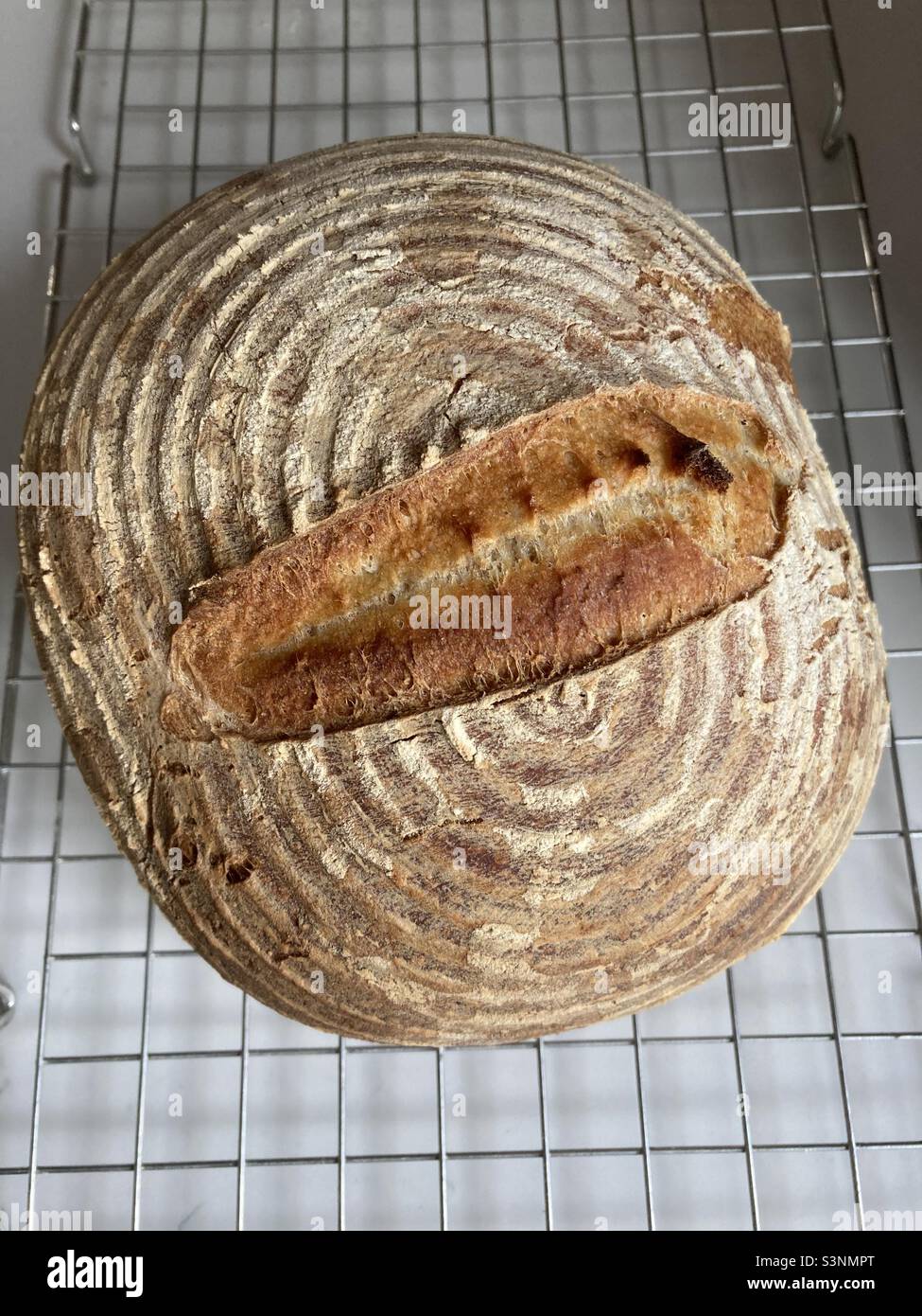 Frisch gebackenes Sauerteig Brot, das auf einem Gestell gekühlt wird - Smartphone-aufgenommenes Stockfoto